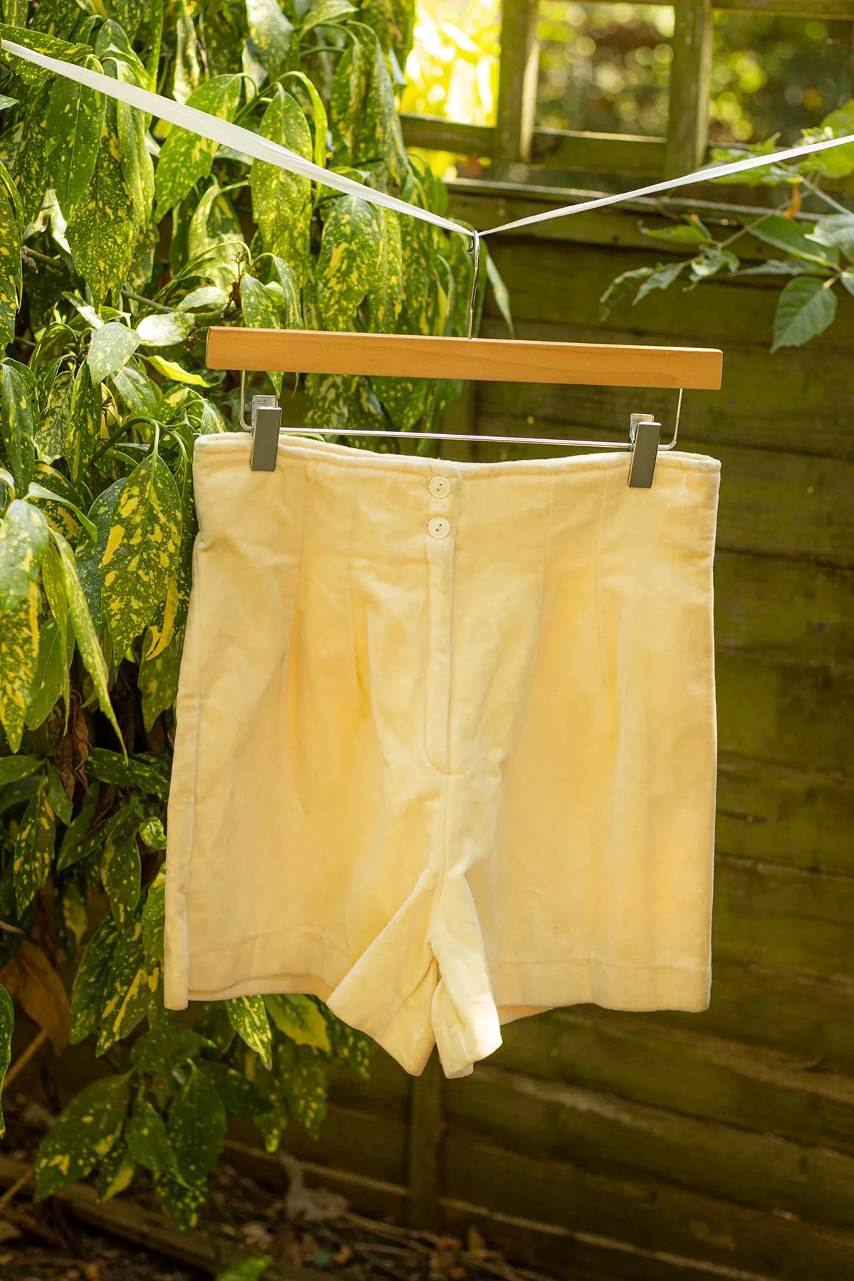 Faye Shorts
