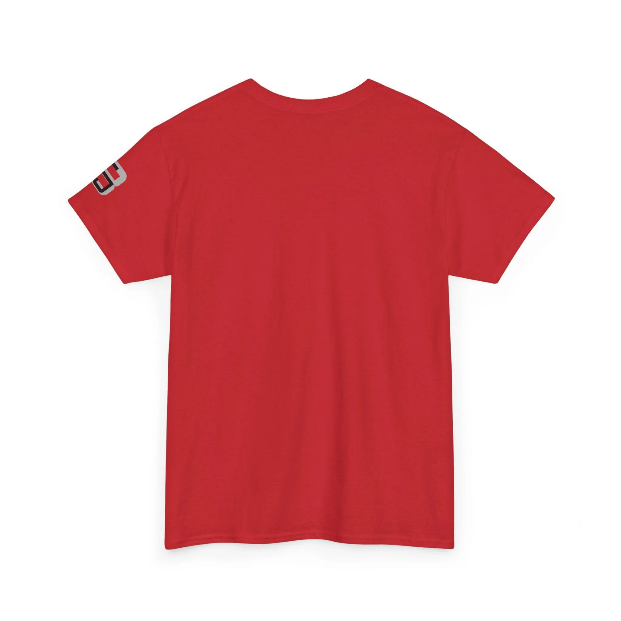 Flaming-Unisex Heavy Cotton Tee-CJ8