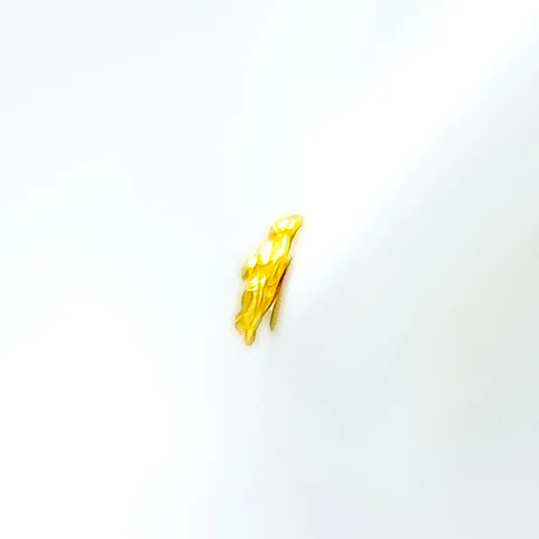 Gorgeous Floral 22k Gold Baby Earrings