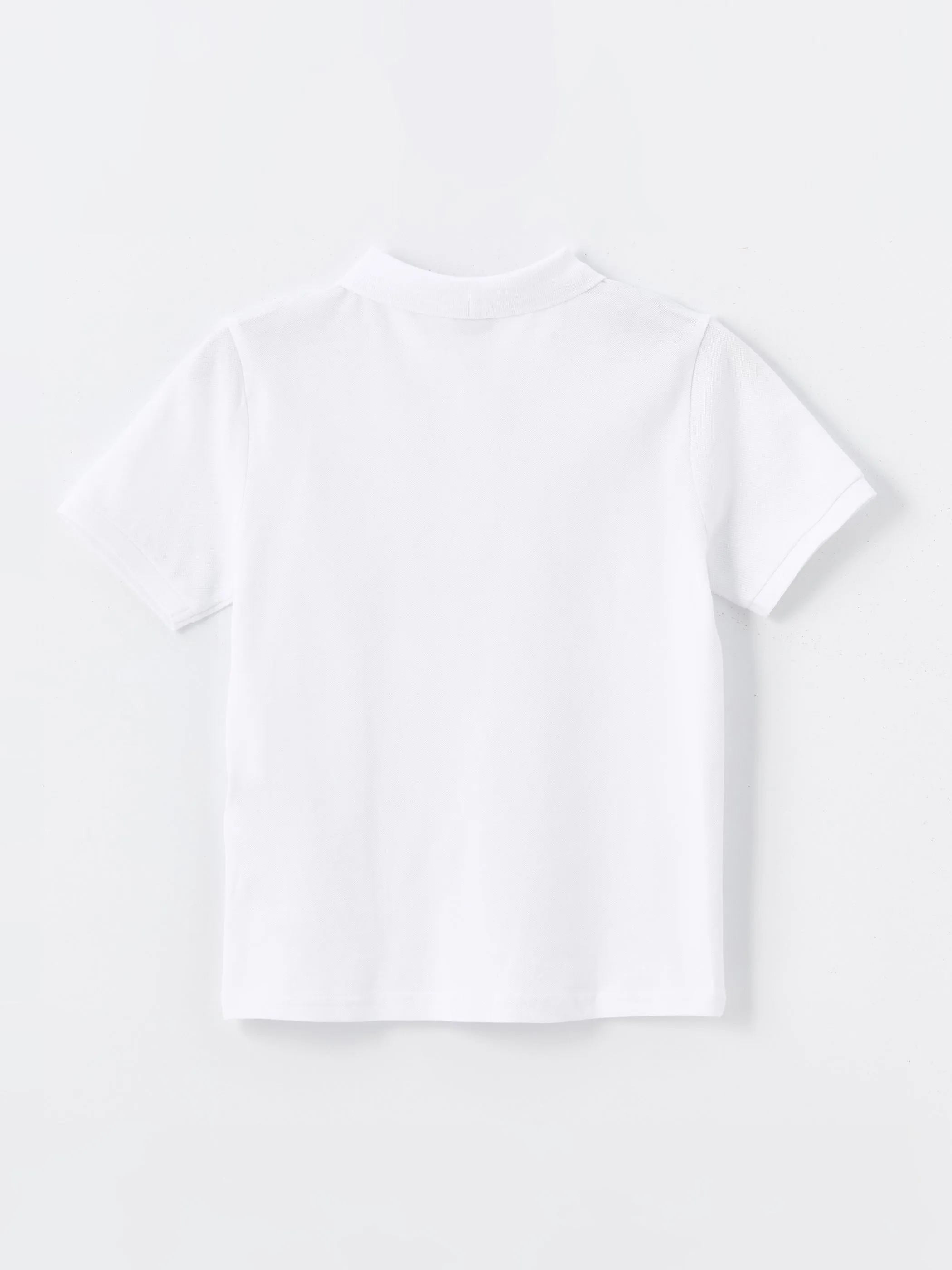Learning Enthusiasts Polo Neck Boy T-Shirt