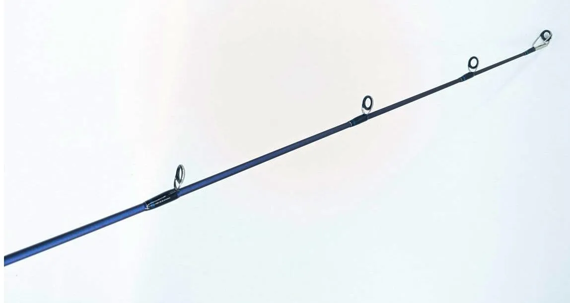 NS Black Hole Demersal Explorer Jigging Overhead Rod