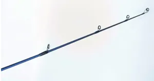 NS Black Hole Demersal Explorer Jigging Overhead Rod