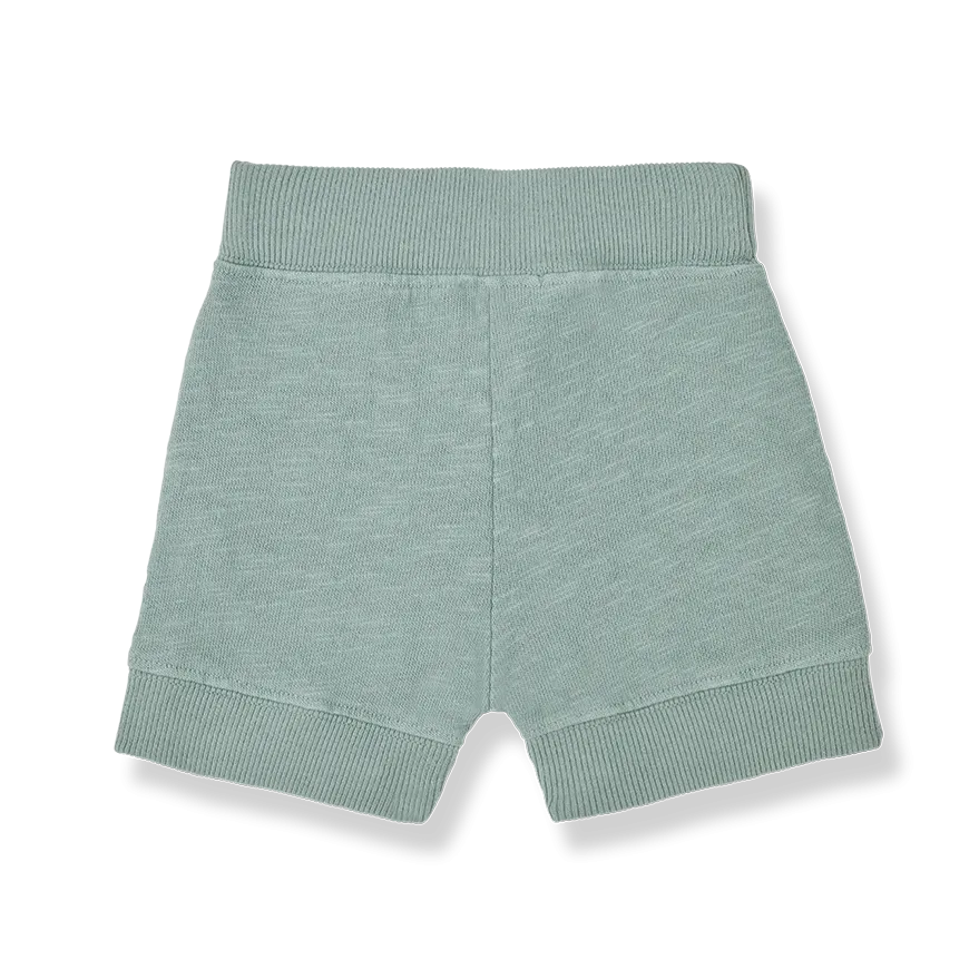 One More In The Family- GINO Shorts (shark)