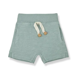 One More In The Family- GINO Shorts (shark)