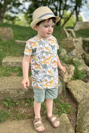 "Apollo" Dinosaur Print Top & Shorts