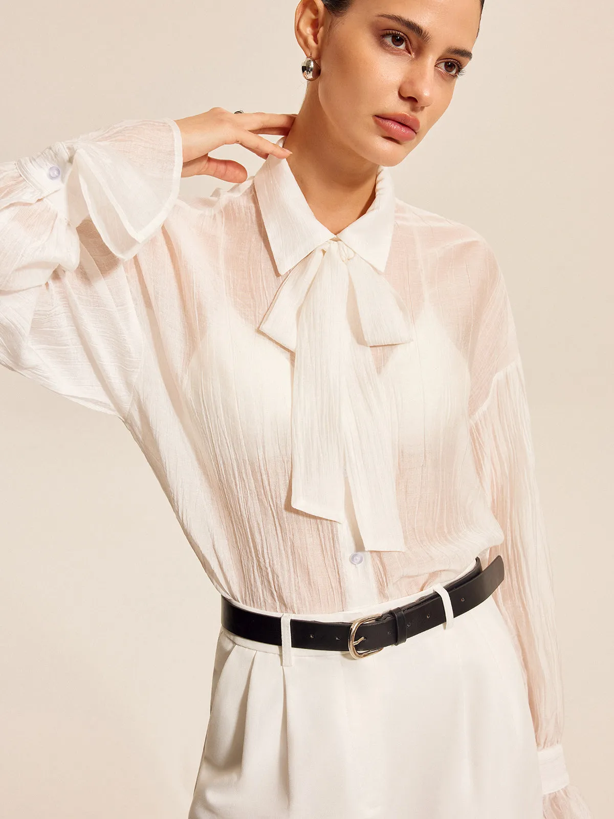 Sheer Bow Tie Blouse