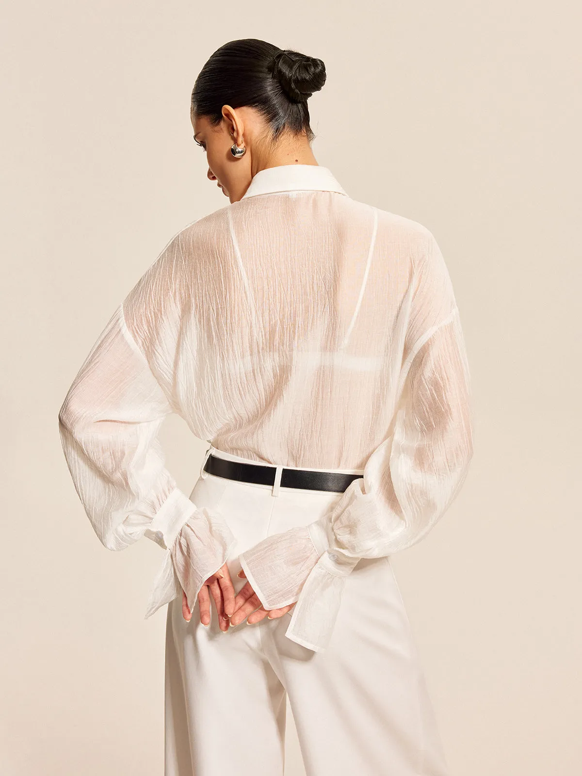 Sheer Bow Tie Blouse