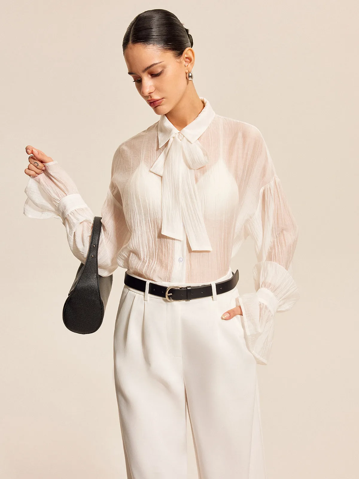 Sheer Bow Tie Blouse