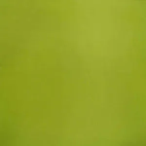 Silk Habutae, Chartreuse