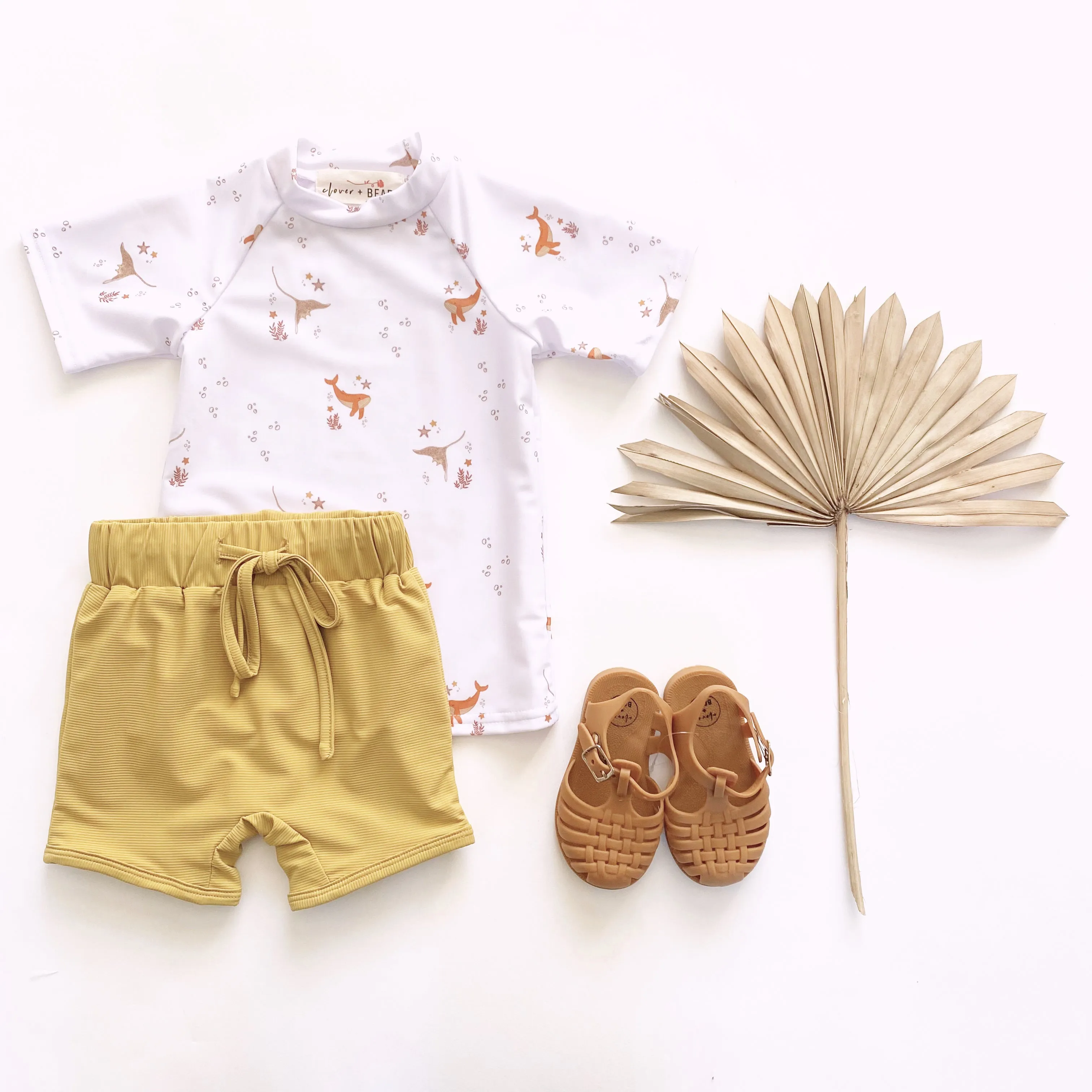 Sunny Cove | Swim Set
