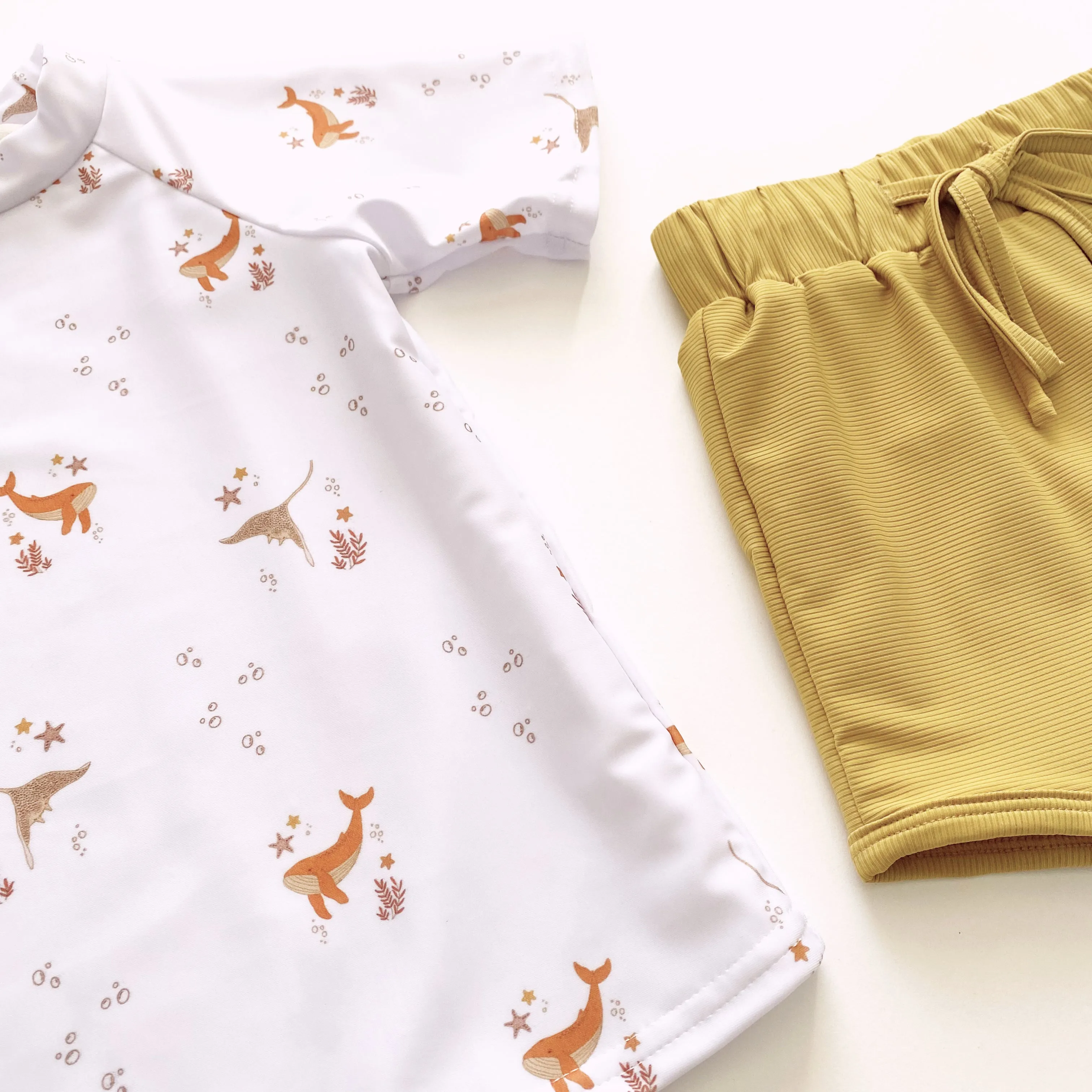 Sunny Cove | Swim Set