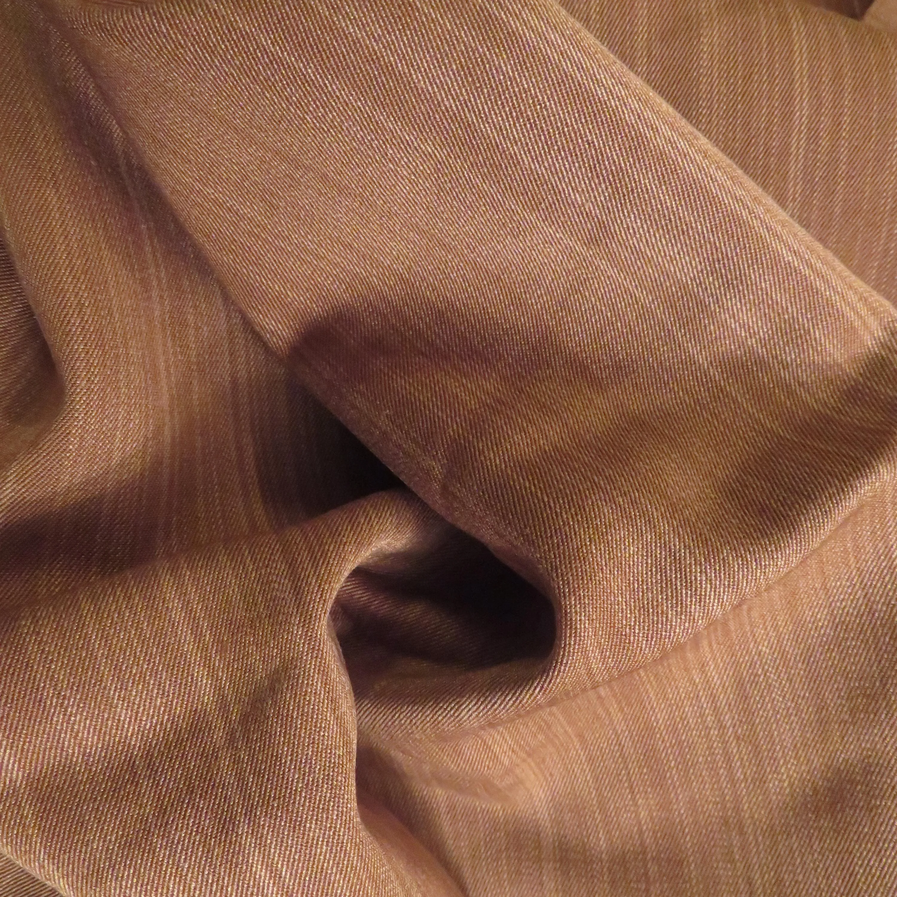 White Striped Sepia